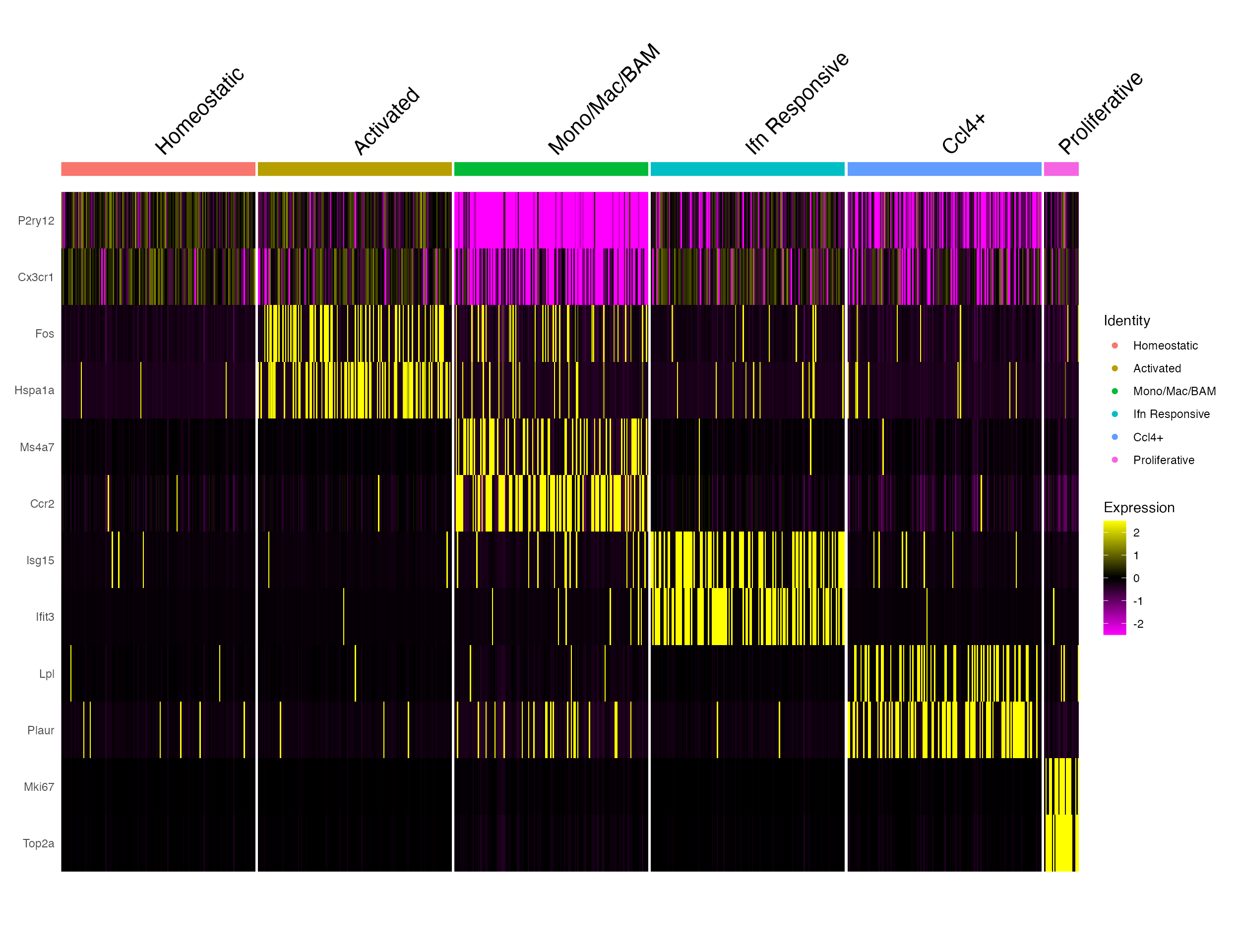 *Much easier now to see expression across all clusters.*