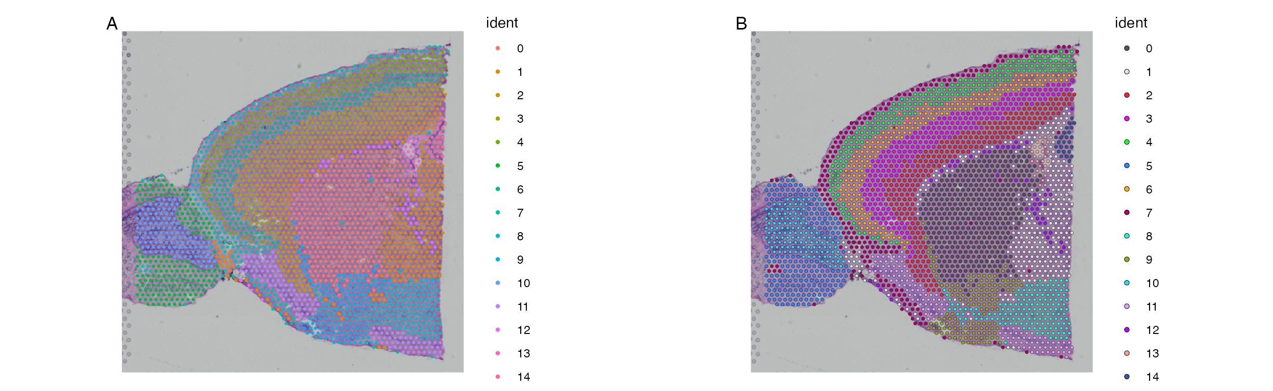 ***A.** Default plotting results in colors that are very similar between clusters making it hard to differentiate between them on the image.  **B.** Default plot using scCustomize `SpatialDimPlot_scCustom` solves this issues matching color scheme to scCustomize package defaults.*